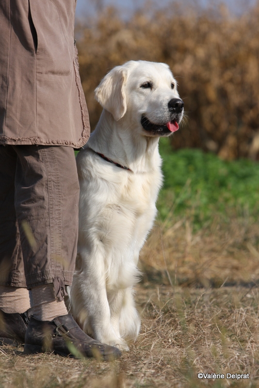 Field Erstein 09 (5).JPG